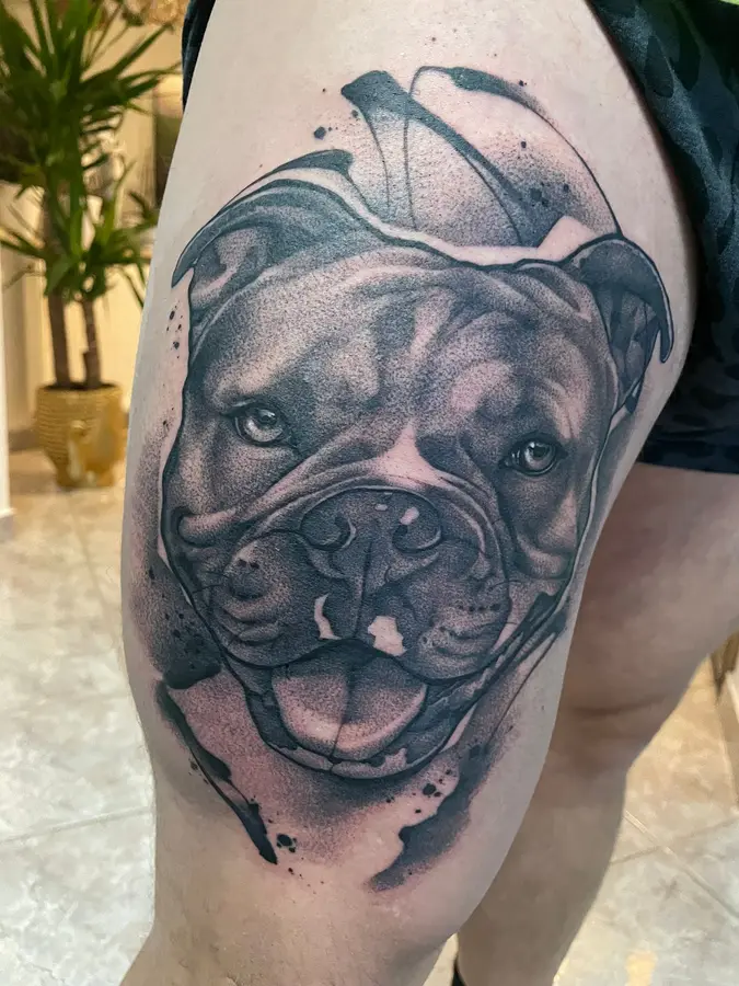 Portrait einer Bulldogge in Black & Grey auf dem Oberschenkel