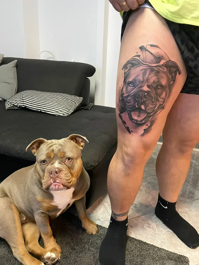 Das Ergebnis: das fertige Bulldoggen-Portrait auf dem Bein, daneben sitzt der Hund selbst